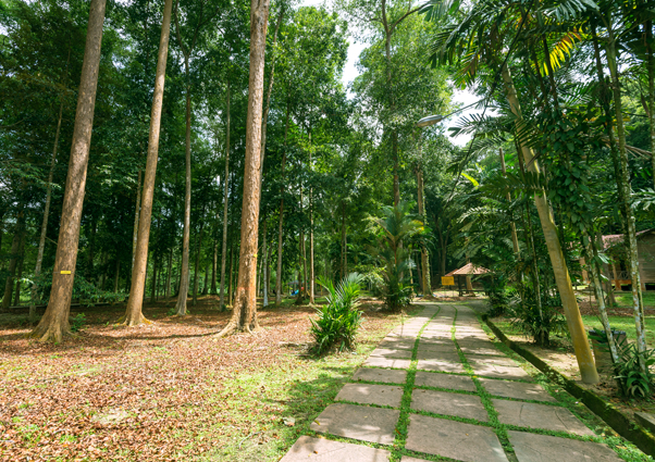 Taman rekreasi bukit panchor